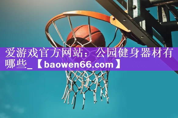 爱游戏官方网站：公园健身器材有哪些_