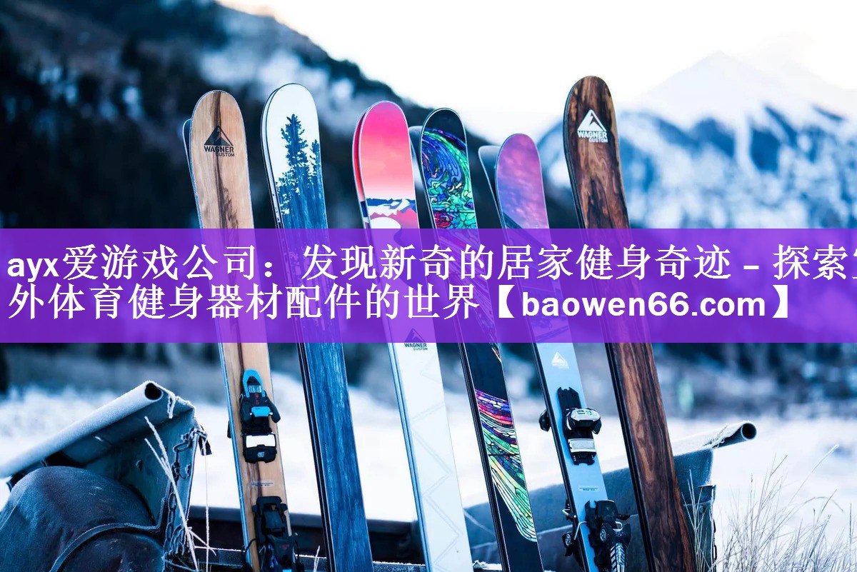 发现新奇的居家健身奇迹 – 探索室外体育健身器材配件的世界