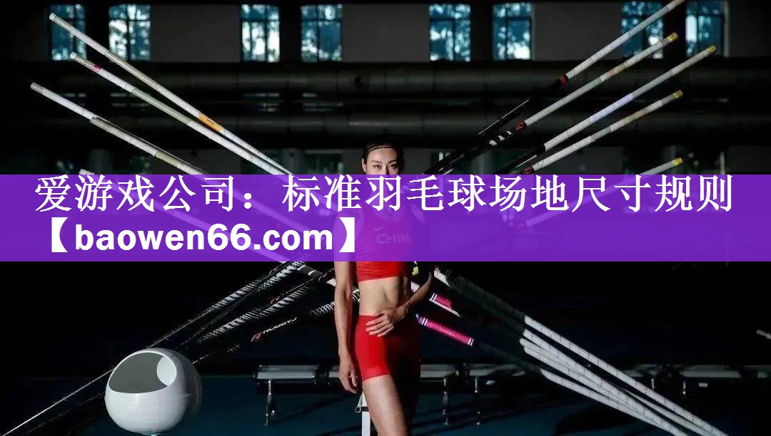 标准羽毛球场地尺寸规则